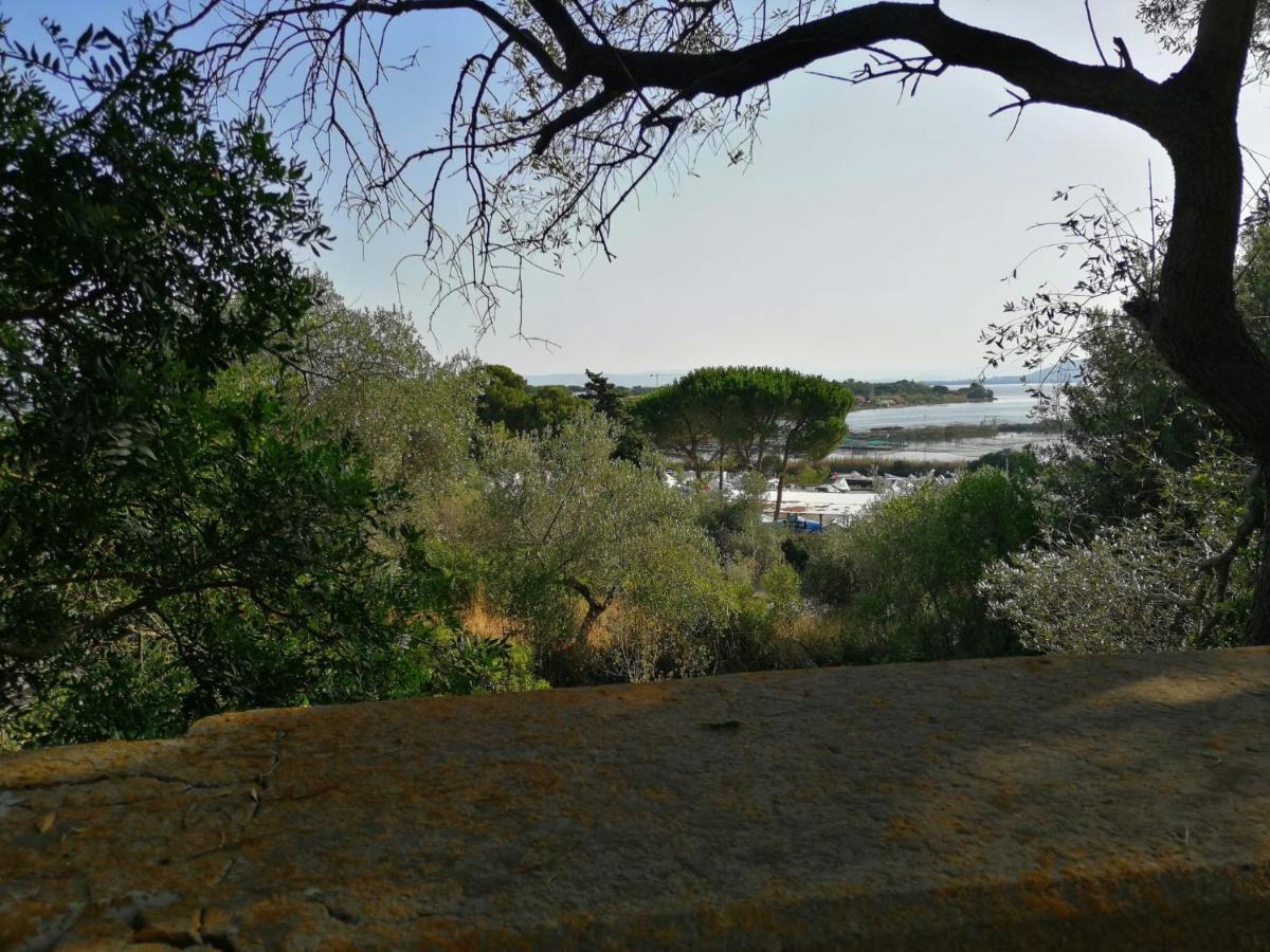 Ferienwohnung Un Quadro Sulla Giannella Monte Argentario Exterior foto